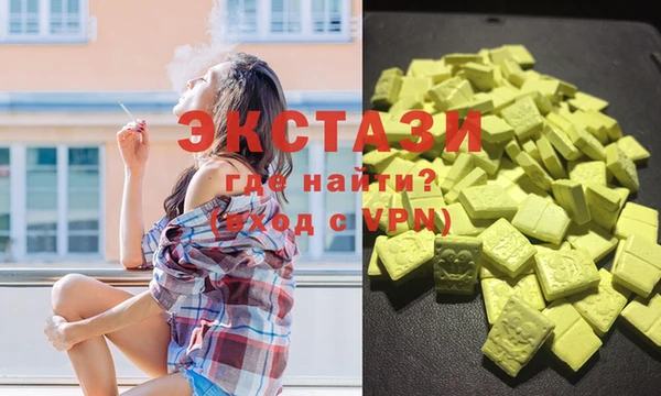 дживик Надым