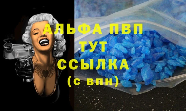 дживик Надым