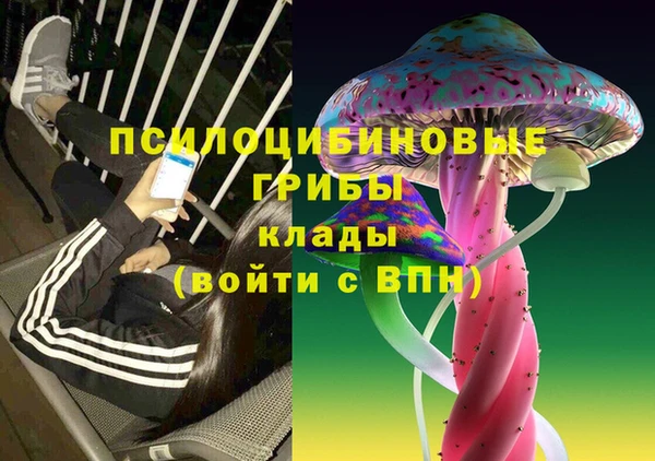 дживик Надым