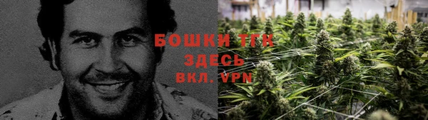дживик Надым