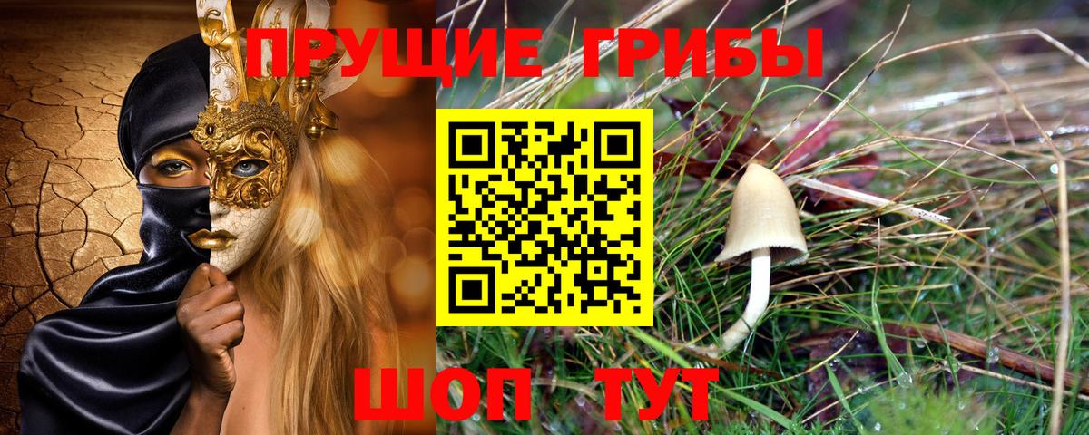 Псилоцибиновые грибы мицелий Северобайкальск