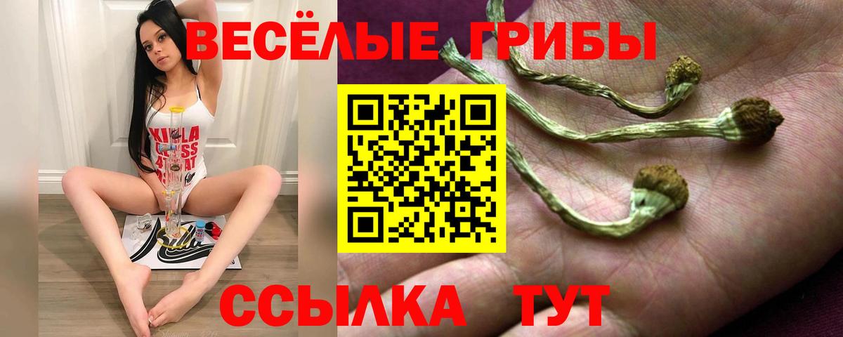Галлюциногенные грибы мухоморы  где купить   Северобайкальск  Вход с VPN 